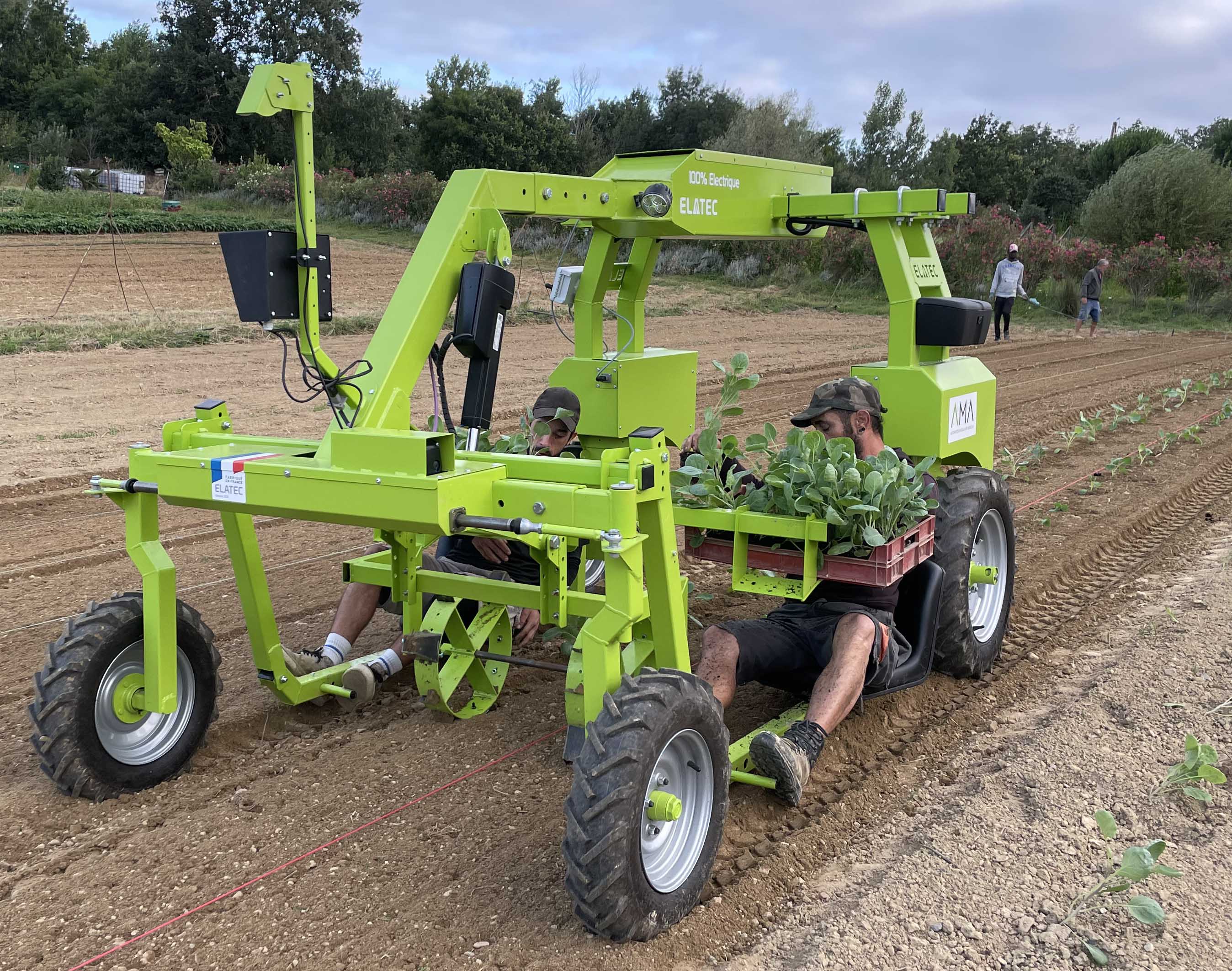 product-big-AMA-4 romanesco enjambeur tracteur électrique 